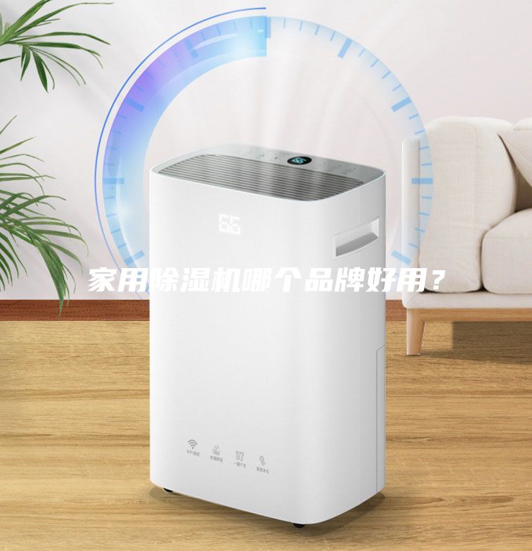 家用除濕機(jī)哪個(gè)品牌好用？