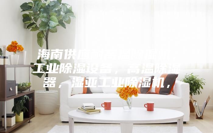 海南供應(yīng)耐高溫除濕機(jī)，工業(yè)除濕設(shè)備，高溫除濕器，濕亞工業(yè)除濕機(jī)，