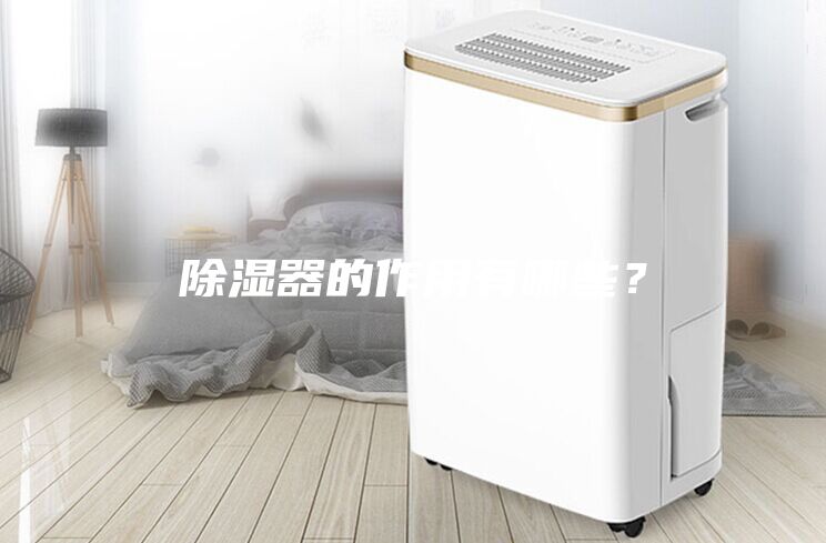 除濕器的作用有哪些？