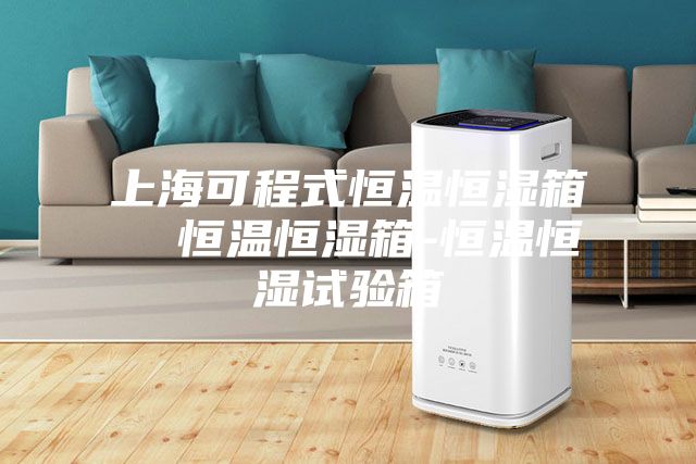 上?？沙淌胶銣睾銤裣? 恒溫恒濕箱-恒溫恒濕試驗(yàn)箱