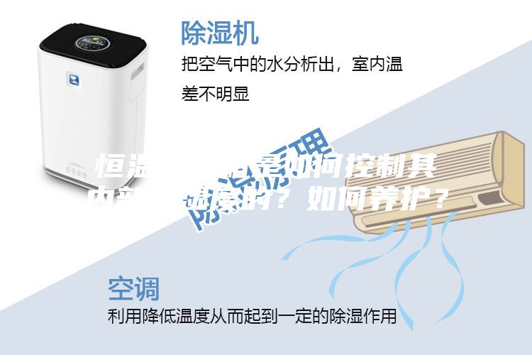 恒溫恒濕箱是如何控制其內(nèi)部溫濕度的？如何養(yǎng)護(hù)？