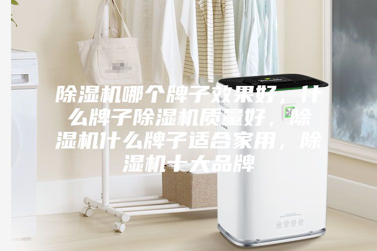 除濕機(jī)哪個牌子效果好，什么牌子除濕機(jī)質(zhì)量好，除濕機(jī)什么牌子適合家用，除濕機(jī)十大品牌