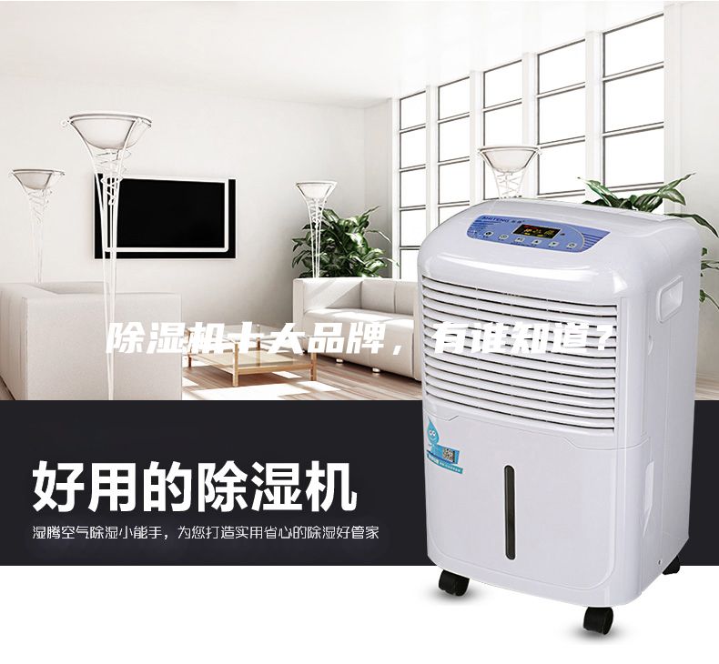 除濕機(jī)十大品牌，有誰(shuí)知道？