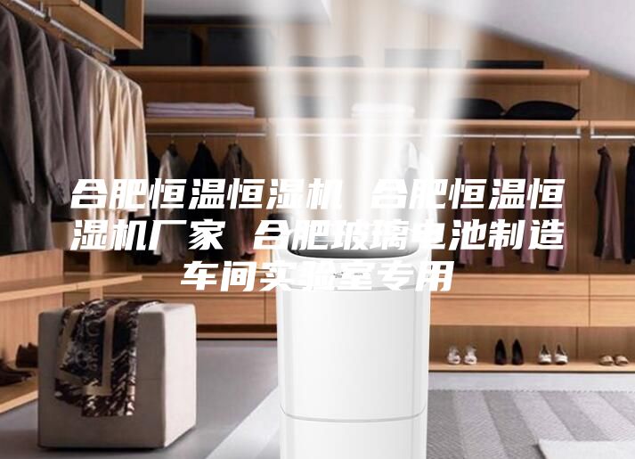 合肥恒溫恒濕機(jī) 合肥恒溫恒濕機(jī)廠家 合肥玻璃電池制造車(chē)間實(shí)驗(yàn)室專(zhuān)用