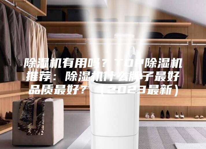 除濕機(jī)有用嗎？TOP除濕機(jī)推薦：除濕機(jī)什么牌子最好品質(zhì)最好？（2023最新）