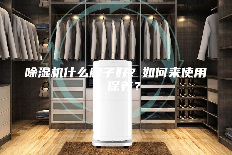 除濕機(jī)什么牌子好？如何來(lái)使用、保養(yǎng)？