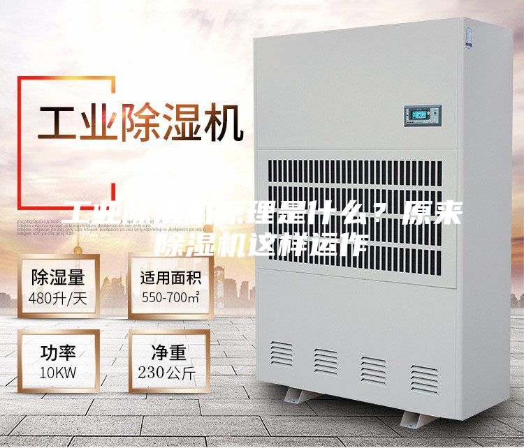 工業(yè)除濕機(jī)原理是什么？原來除濕機(jī)這樣運(yùn)作