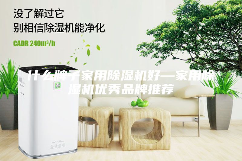 什么牌子家用除濕機(jī)好—家用除濕機(jī)優(yōu)秀品牌推薦