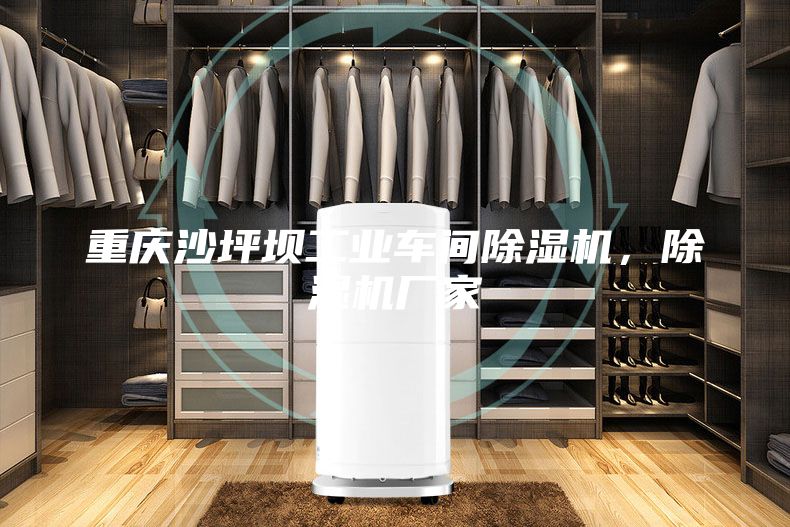 重慶沙坪壩工業(yè)車間除濕機，除濕機廠家