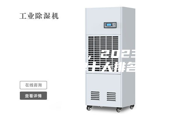進(jìn)口除濕機(jī)，2023除濕機(jī)品牌十大排名