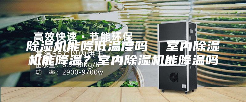除濕機(jī)能降低溫度嗎  室內(nèi)除濕機(jī)能降溫？室內(nèi)除濕機(jī)能降溫嗎