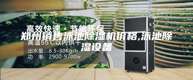 鄭州銷售泳池除濕機(jī)價格,泳池除濕設(shè)備