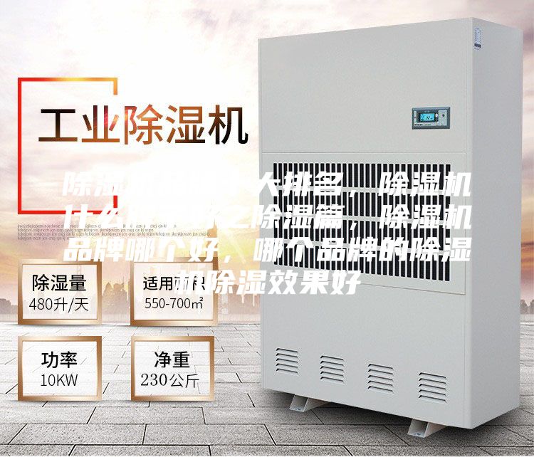 除濕機品牌十大排名，除濕機什么牌子好之除濕篇，除濕機品牌哪個好，哪個品牌的除濕機除濕效果好