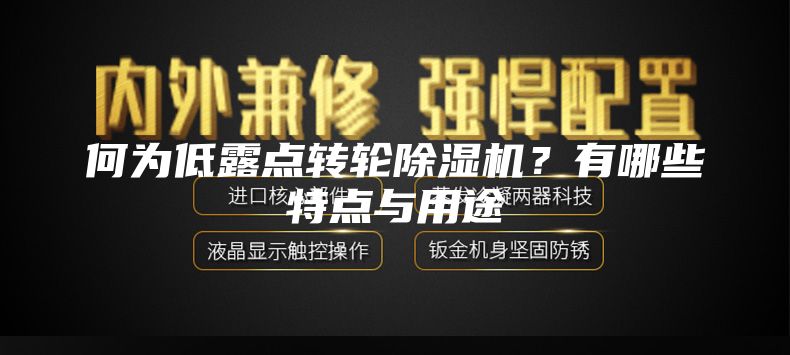 何為低露點轉(zhuǎn)輪除濕機？有哪些特點與用途