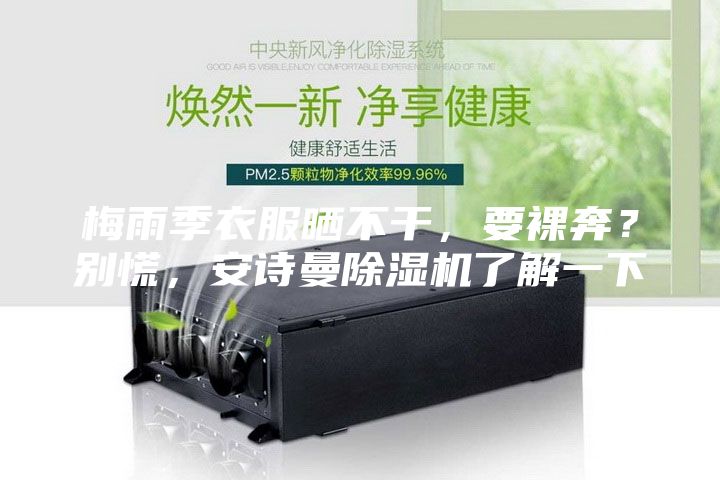 梅雨季衣服曬不干，要裸奔？別慌，安詩(shī)曼除濕機(jī)了解一下
