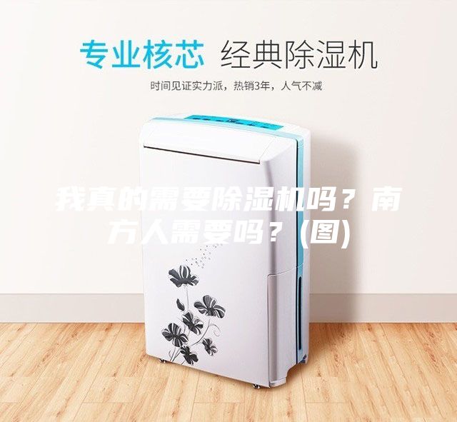 我真的需要除濕機(jī)嗎？南方人需要嗎？(圖)