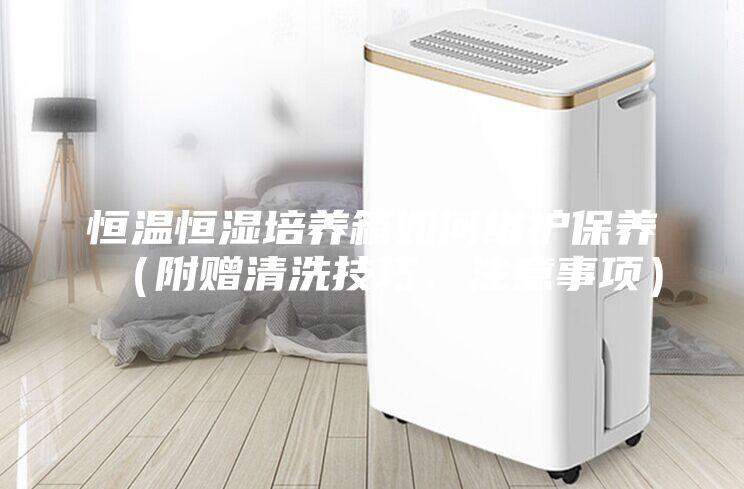 恒溫恒濕培養(yǎng)箱如何維護(hù)保養(yǎng)（附贈(zèng)清洗技巧、注意事項(xiàng)）