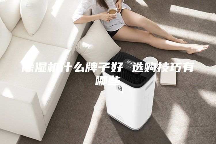 除濕機(jī)什么牌子好 選購(gòu)技巧有哪些