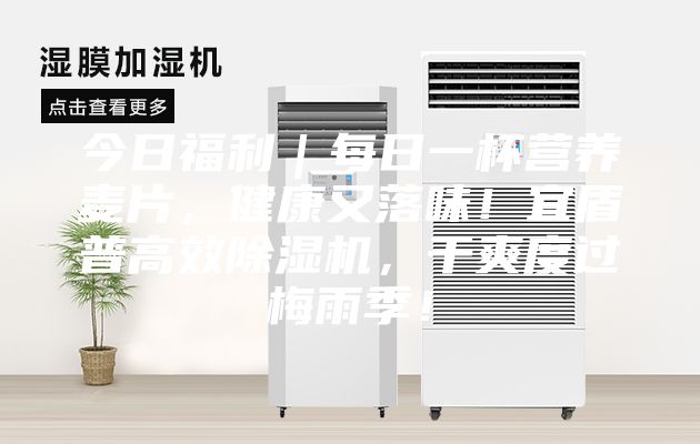 今日福利｜每日一杯營(yíng)養(yǎng)麥片，健康又落味！宜盾普高效除濕機(jī)，干爽度過梅雨季！