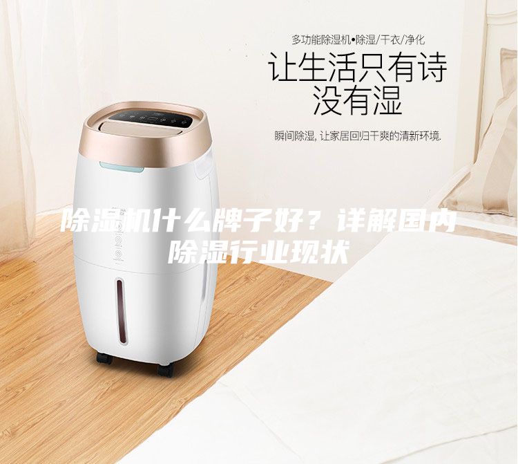 除濕機什么牌子好？詳解國內除濕行業(yè)現(xiàn)狀