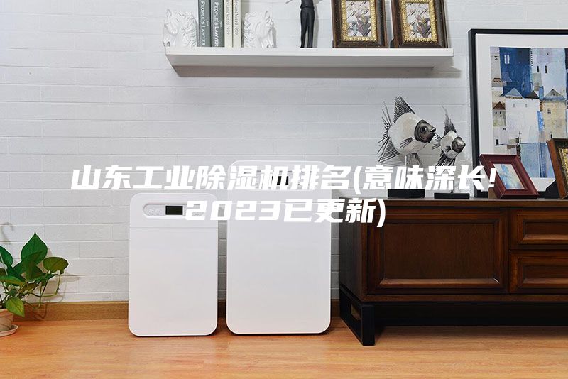 山東工業(yè)除濕機排名(意味深長!2023已更新)