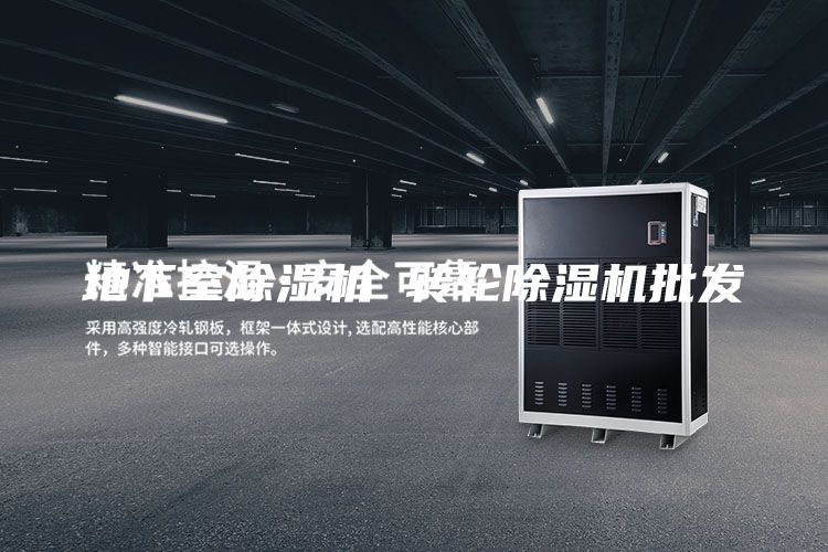 地下室除濕機 轉輪除濕機批發(fā)
