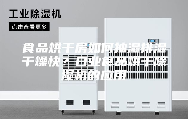 食品烘干房如何抽濕排濕干燥快？日業(yè)食品烘干除濕機的應(yīng)用