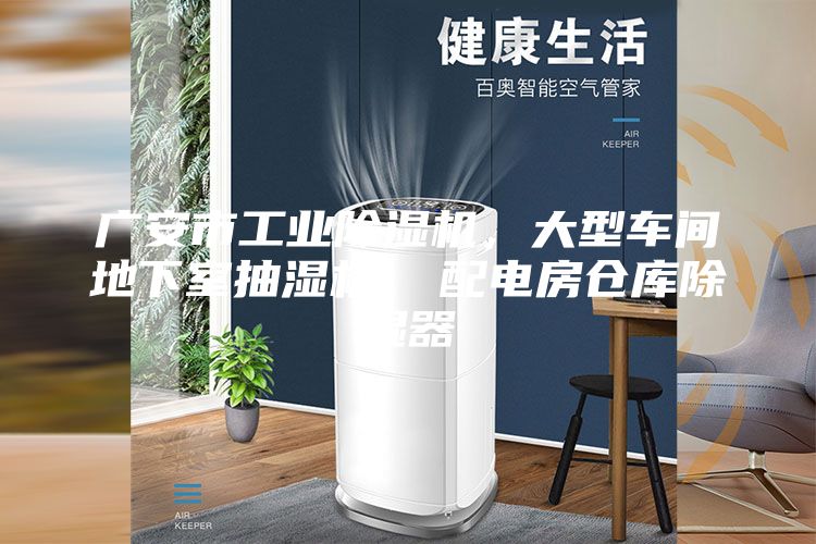 廣安市工業(yè)除濕機，大型車間地下室抽濕機  配電房倉庫除濕器