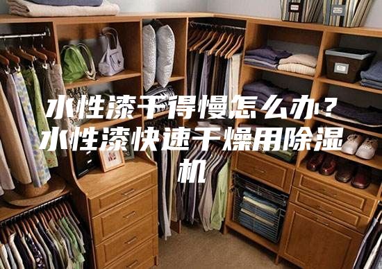 水性漆干得慢怎么辦？水性漆快速干燥用除濕機
