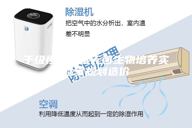千級恒溫恒濕無菌生物培養(yǎng)實(shí)驗(yàn)室規(guī)劃造價