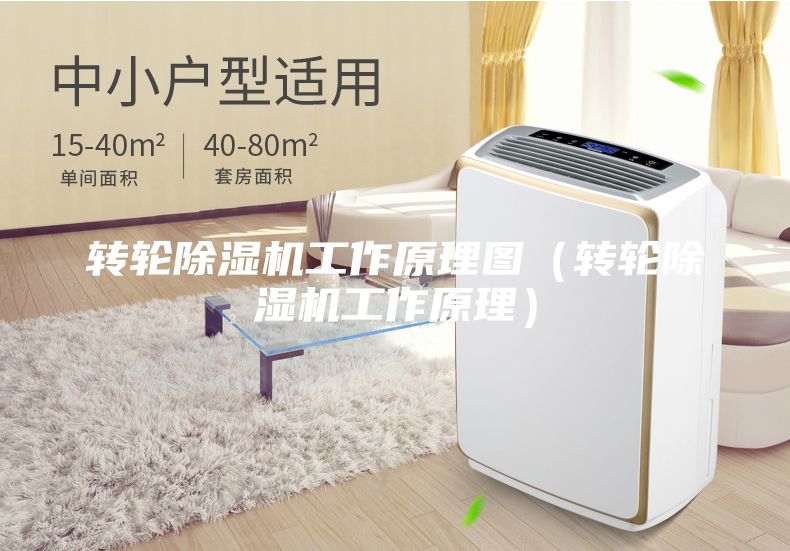 轉(zhuǎn)輪除濕機工作原理圖（轉(zhuǎn)輪除濕機工作原理）