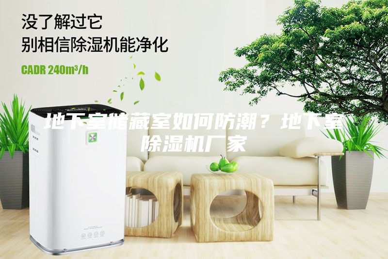 地下室儲(chǔ)藏室如何防潮？地下室除濕機(jī)廠家
