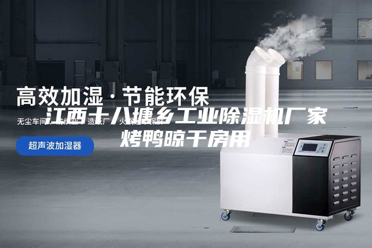 江西十八塘鄉(xiāng)工業(yè)除濕機(jī)廠家烤鴨晾干房用