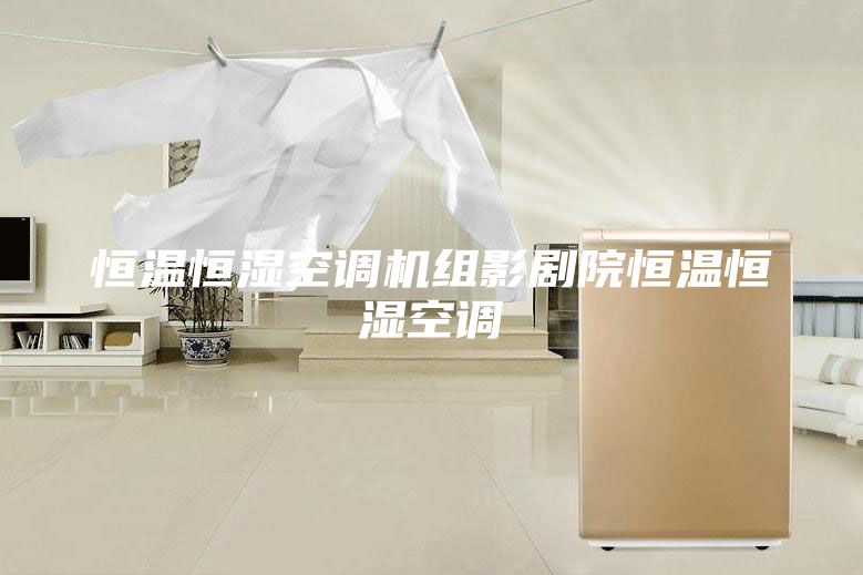 恒溫恒濕空調(diào)機(jī)組影劇院恒溫恒濕空調(diào)