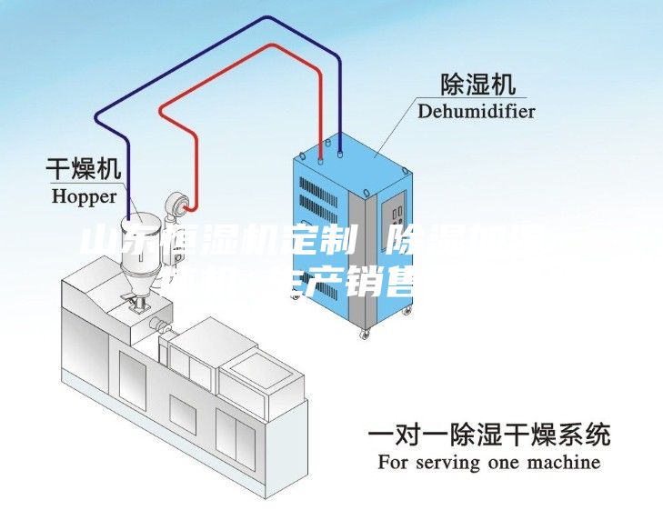 山東恒濕機(jī)定制 除濕加濕一體機(jī) 生產(chǎn)銷售安裝