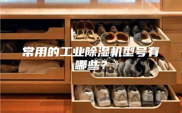 常用的工業(yè)除濕機型號有哪些？