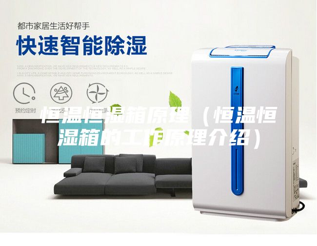 恒溫恒濕箱原理（恒溫恒濕箱的工作原理介紹）