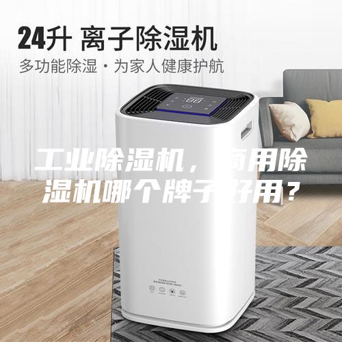 工業(yè)除濕機，商用除濕機哪個牌子好用？