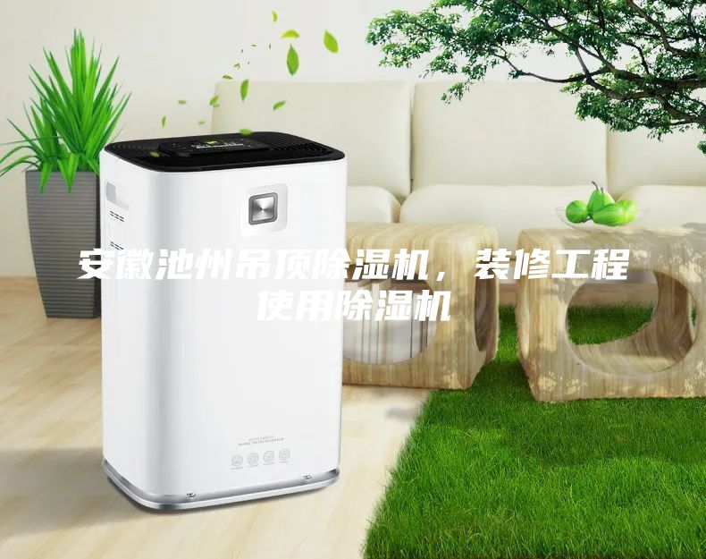 安徽池州吊頂除濕機(jī)，裝修工程使用除濕機(jī)