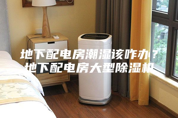 地下配電房潮濕該咋辦？地下配電房大型除濕機