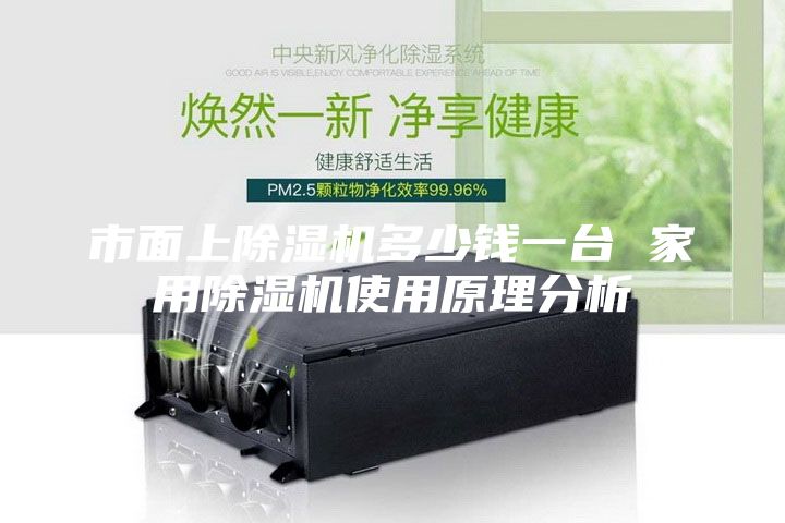 市面上除濕機(jī)多少錢一臺 家用除濕機(jī)使用原理分析