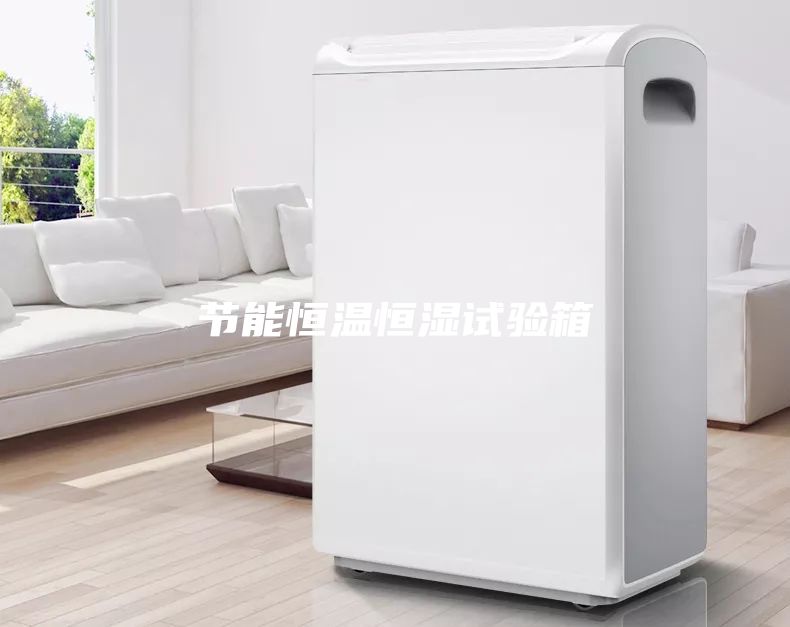 節(jié)能恒溫恒濕試驗箱