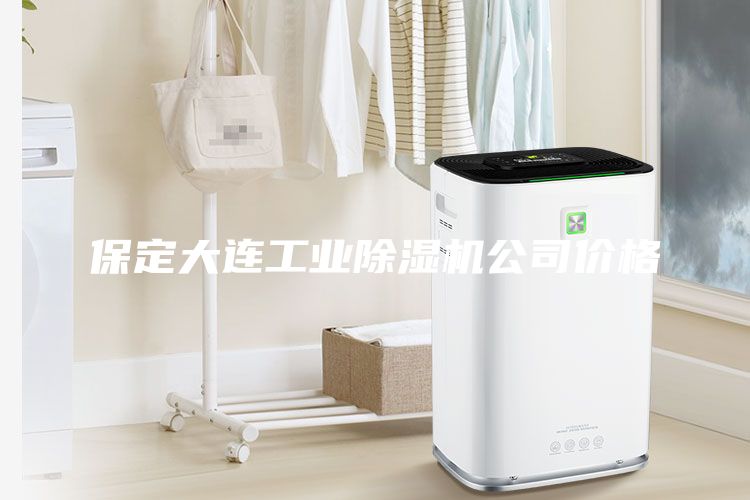 保定大連工業(yè)除濕機公司價格