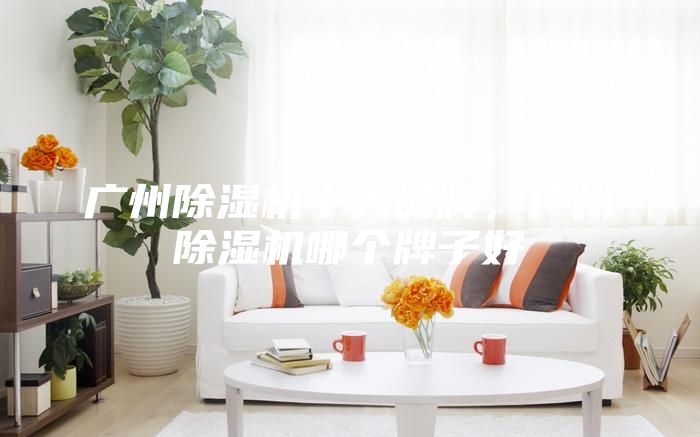 廣州除濕機(jī)十大品牌，廣州除濕機(jī)哪個(gè)牌子好