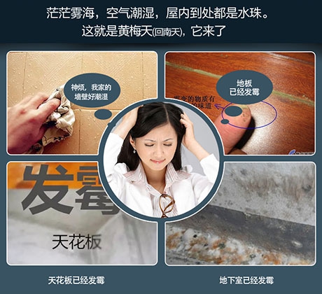 知否知否，國(guó)內(nèi)十大除濕機(jī)品牌