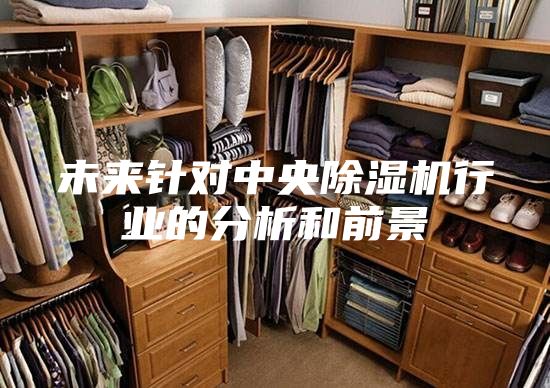 未來針對中央除濕機(jī)行業(yè)的分析和前景