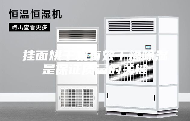 掛面烘干機(jī)有效干燥除濕是保證質(zhì)量的關(guān)鍵