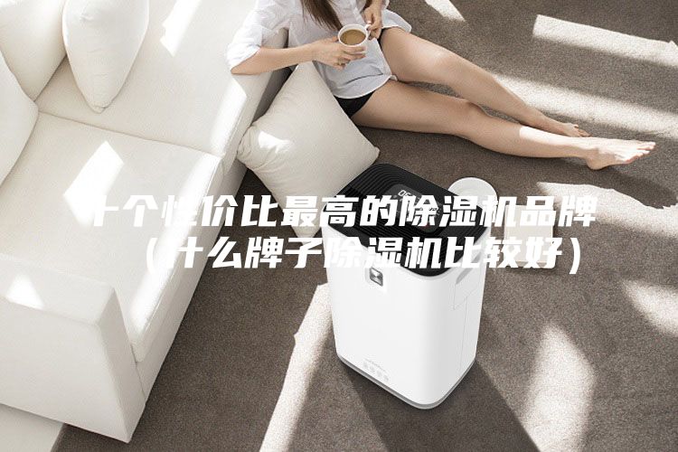 十個(gè)性?xún)r(jià)比最高的除濕機(jī)品牌（什么牌子除濕機(jī)比較好）