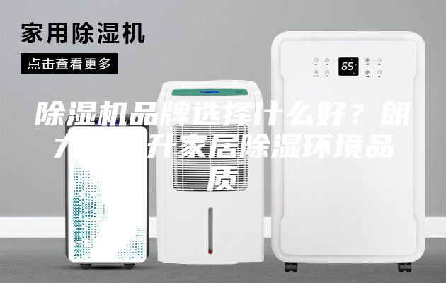 除濕機(jī)品牌選擇什么好？朗力信提升家居除濕環(huán)境品質(zhì)