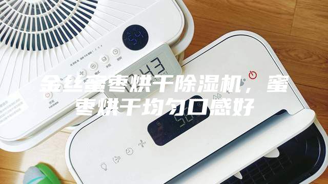 金絲蜜棗烘干除濕機(jī)，蜜棗烘干均勻口感好
